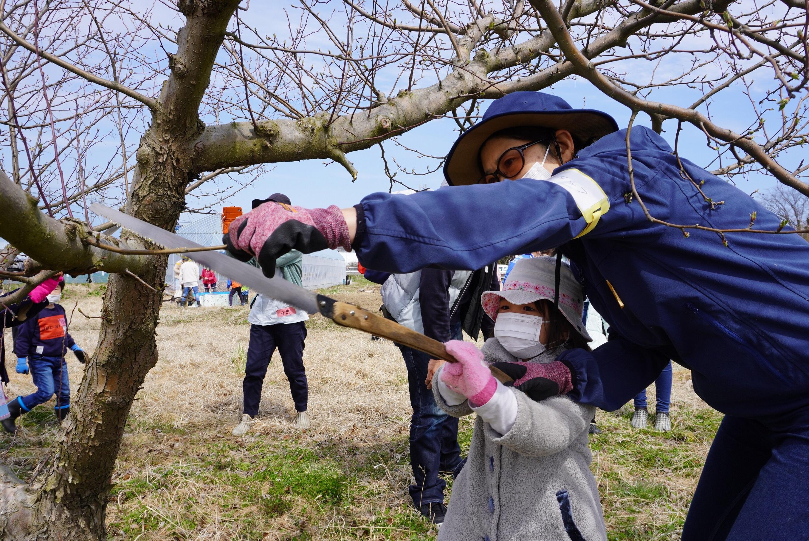 4月3日そら２.JPG
