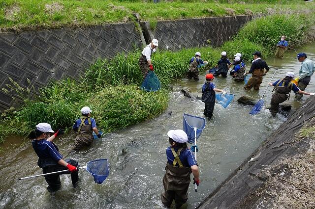 生徒が水中生物を探している写真